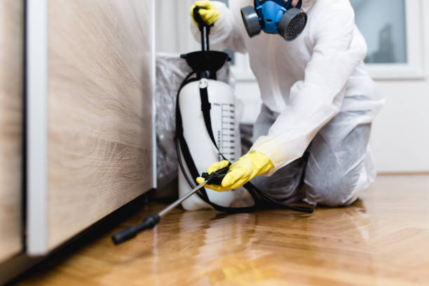 Best Pest Control Near Me  in Pine Manor, FL