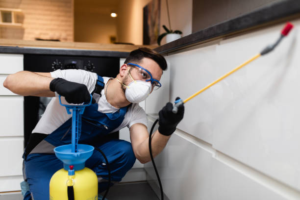 Best Wasp Removal Services  in Pine Manor, FL