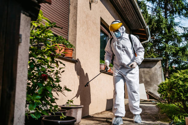 Best Pest Control Near Me in Pine Manor, FL