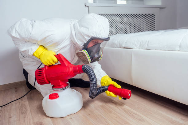 Best Bed Bug Extermination  in Pine Manor, FL