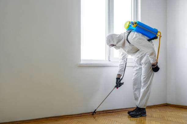 Best Termite Control Services  in Pine Manor, FL