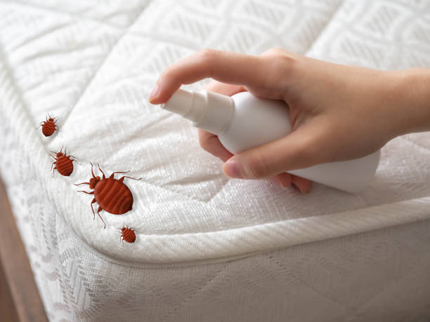 Best Cockroach Control Services  in Pine Manor, FL