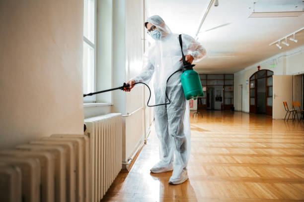 Best Wasp Removal Services  in Pine Manor, FL