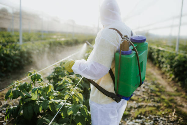  Pine Manor, FL Pest Control Pros